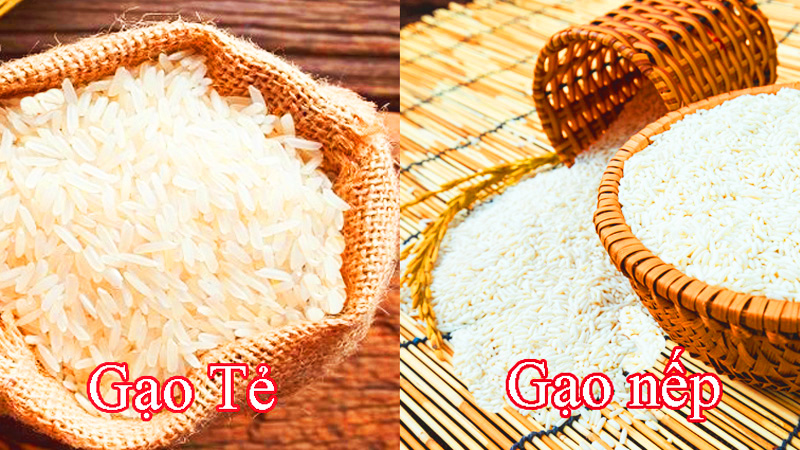 Vì sao gạo nếp lại dẻo hơn gạo tẻ