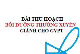 Bài thu hoạch bồi dưỡng thường xuyên modun GVPT