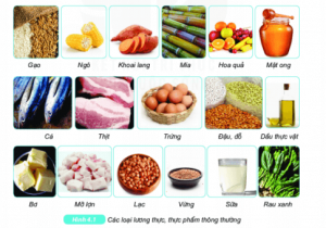 Bài 15 Một số lương thực thực phẩm